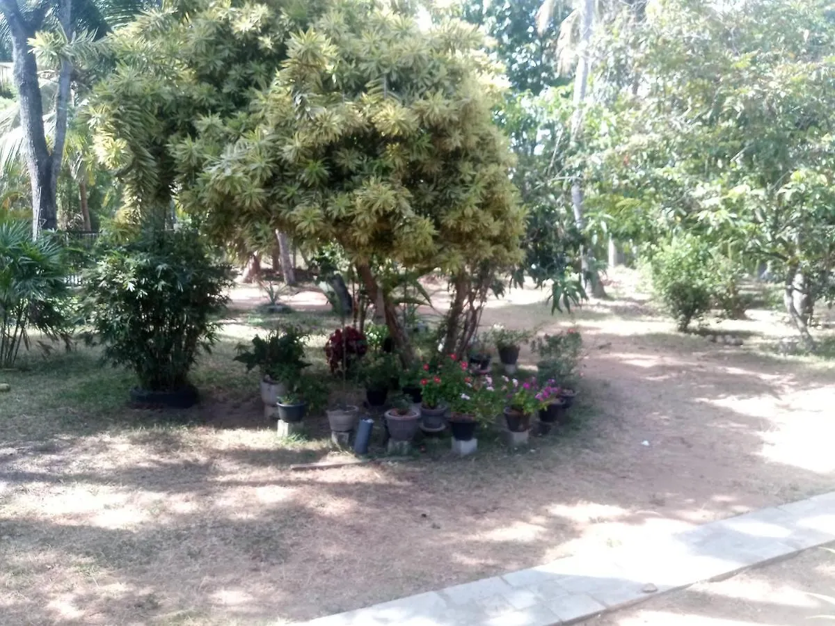 Eecs Transit And Budget Homestay Katunayake
