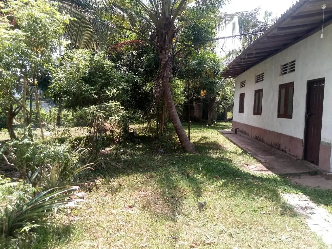 Eecs Transit And Budget Homestay Katunayake Hostel