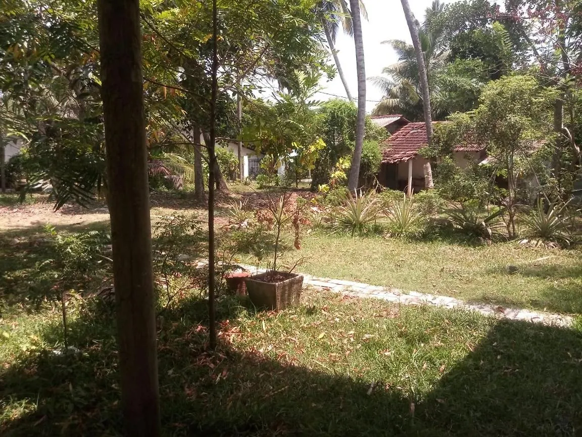 Eecs Transit And Budget Homestay كاتوناياكى سريلانكا