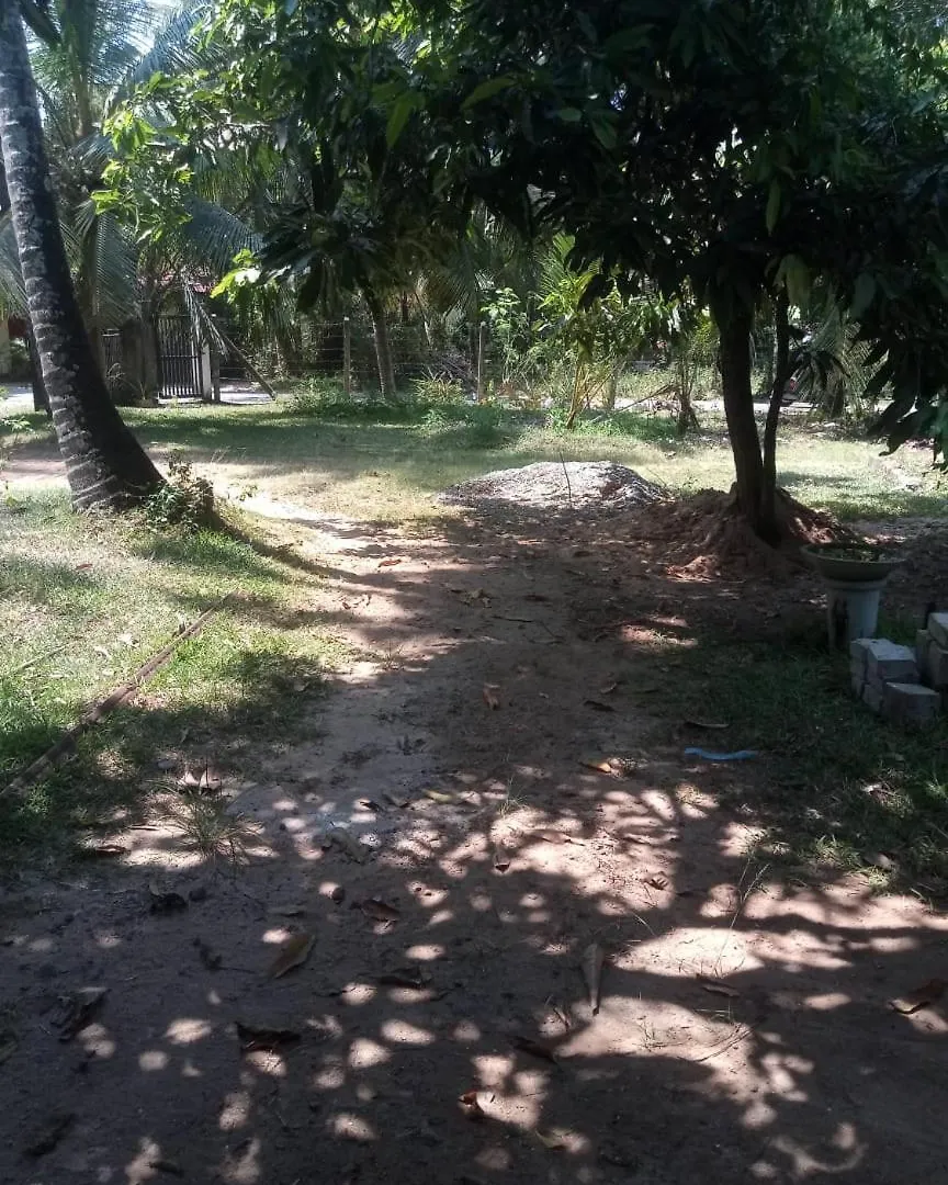 Hostel Eecs Transit And Budget Homestay Katunayake Sri Lanka