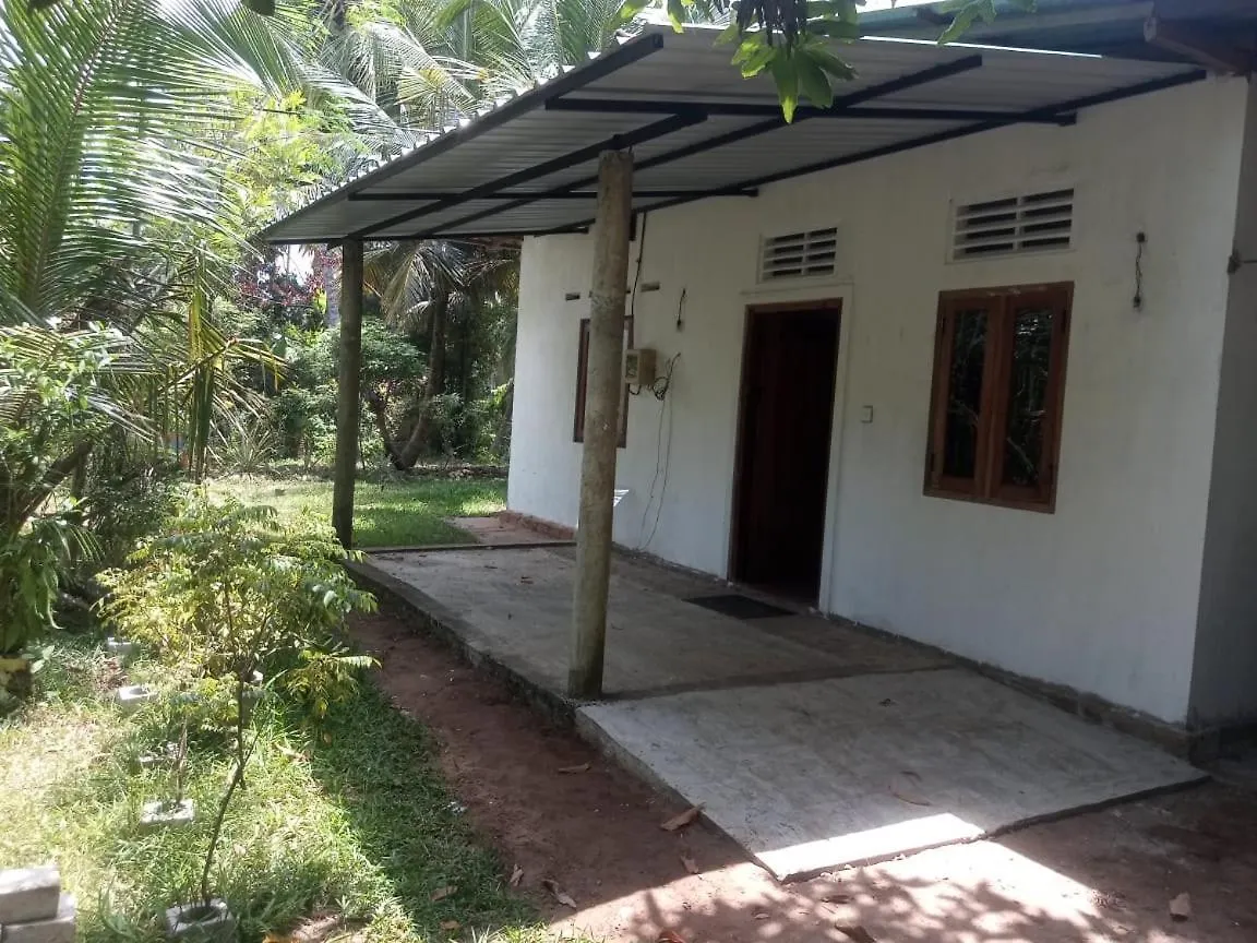 Eecs Transit And Budget Homestay Katunayake Sri Lanka