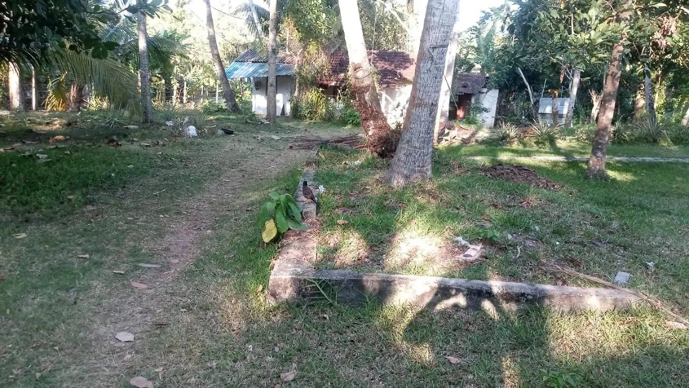 Hostel Eecs Transit And Budget Homestay Katunayake Sri Lanka