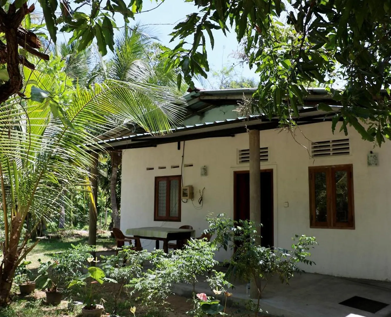 Hostel Eecs Transit And Budget Homestay Katunayake Sri Lanka